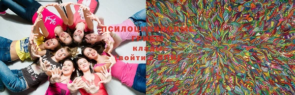 каннабис Балахна