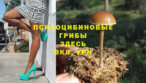 СК Арсеньев